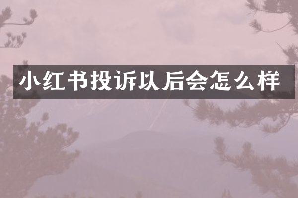小红书投诉以后会怎么样