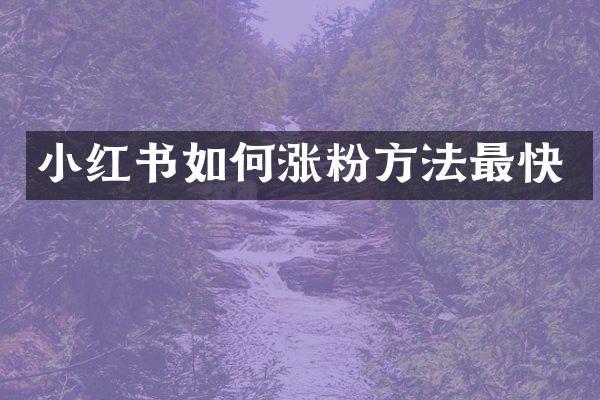 小红书如何涨粉方法最快