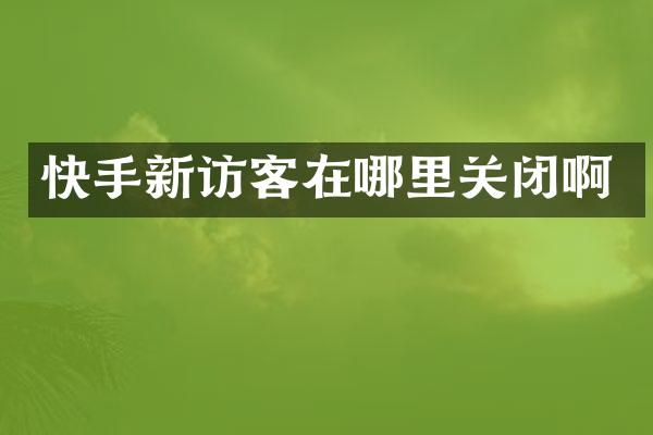 快手新访客在哪里关闭啊