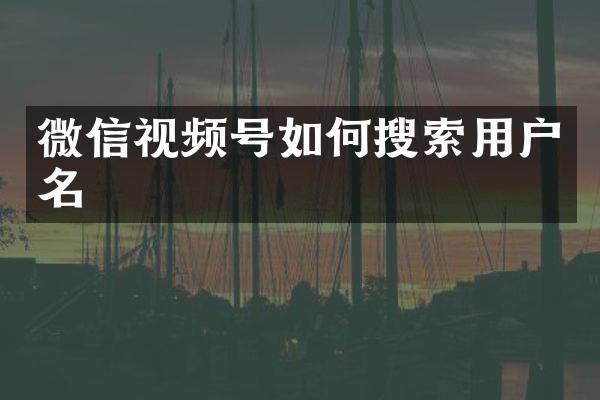 微信视频号如何搜索用户名