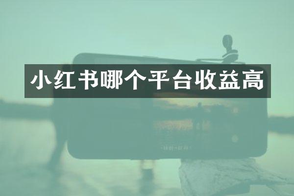 小红书哪个平台收益高