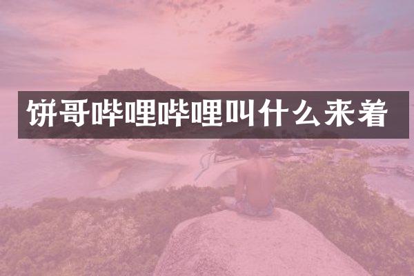饼哥哔哩哔哩叫什么来着