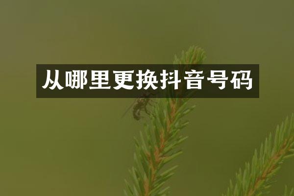 从哪里更换抖音号码