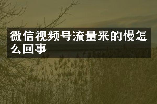 微信视频号流量来的慢怎么回事