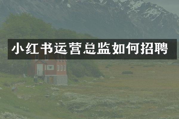 小红书运营总监如何招聘