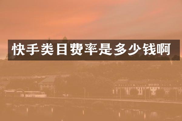 快手类目费率是多少钱啊