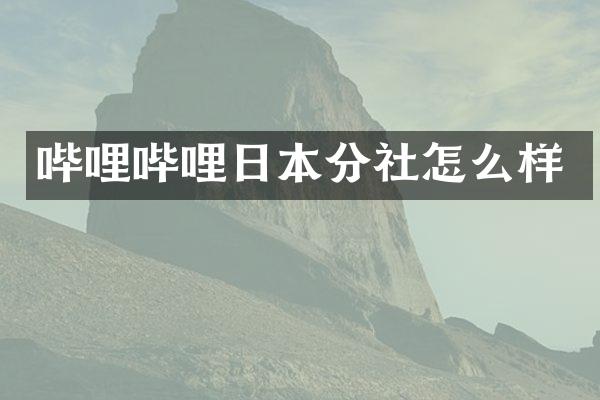 哔哩哔哩日本分社怎么样