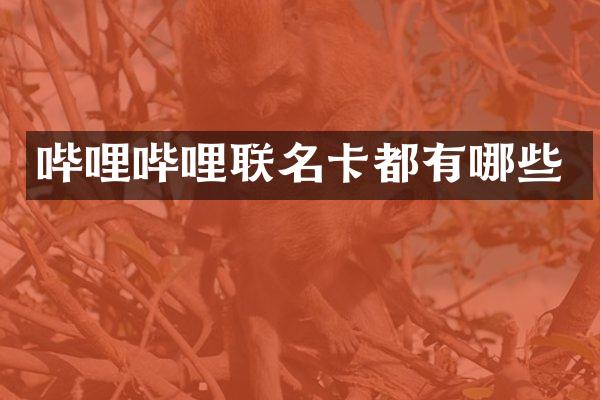 哔哩哔哩联名卡都有哪些
