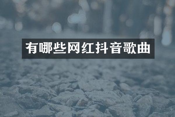 有哪些网红抖音歌曲