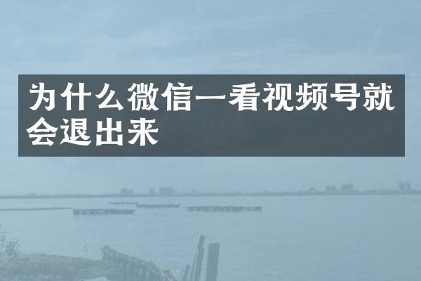 为什么微信一看视频号就会退出来