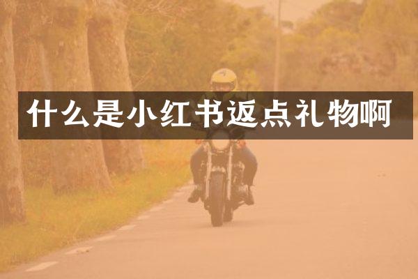 什么是小红书返点礼物啊