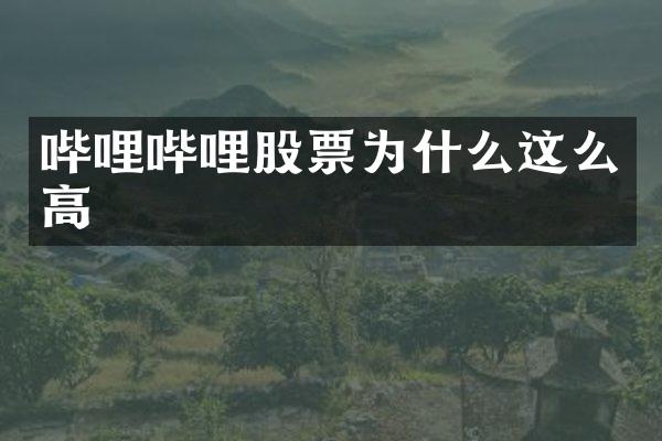 哔哩哔哩股票为什么这么高