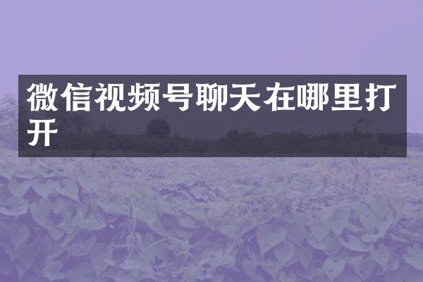 微信视频号聊天在哪里打开