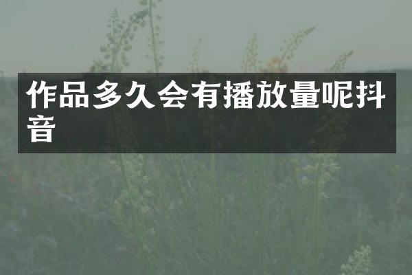 作品多久会有播放量呢抖音