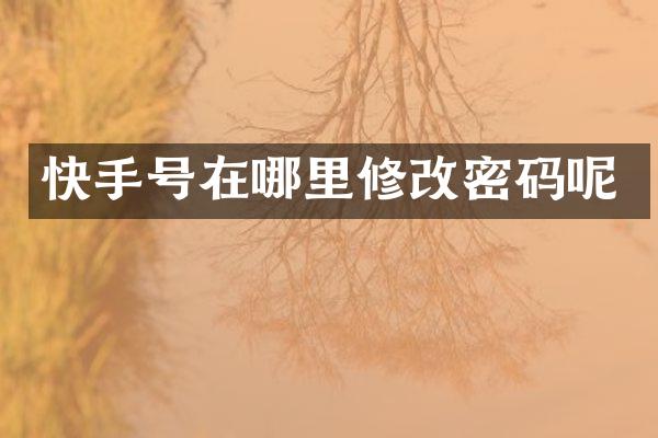 快手号在哪里修改密码呢
