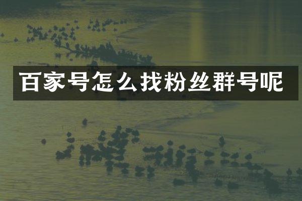 百家号怎么找粉丝群号呢