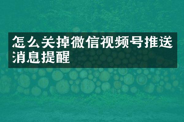 怎么关掉微信视频号推送消息提醒