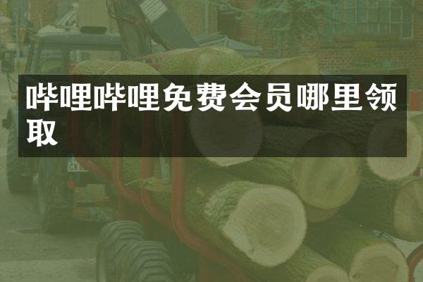哔哩哔哩免费会员哪里领取
