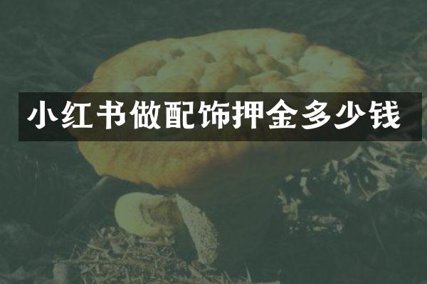 小红书做配饰押金多少钱