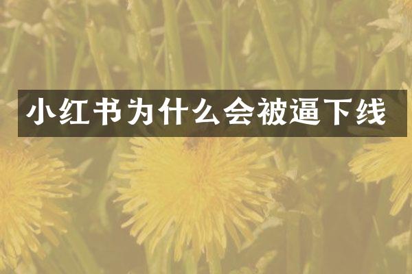 小红书为什么会被逼下线