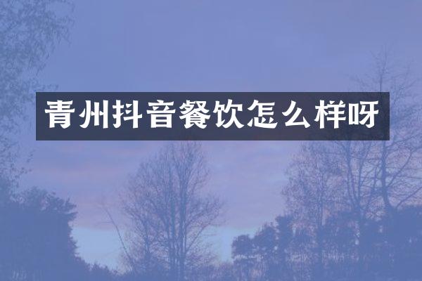 青州抖音餐饮怎么样呀