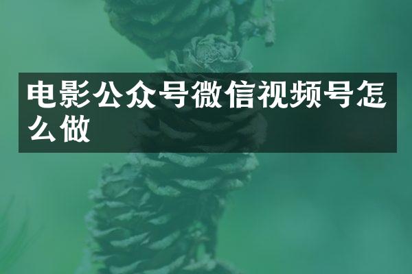 电影公众号微信视频号怎么做