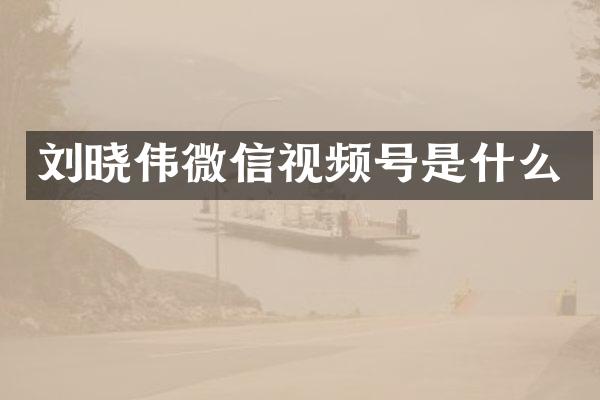刘晓伟微信视频号是什么