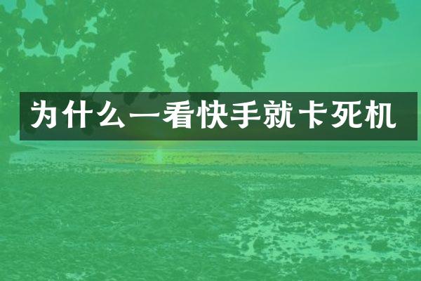 为什么一看快手就卡死机