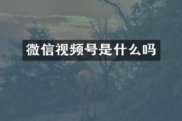 微信视频号是什么吗