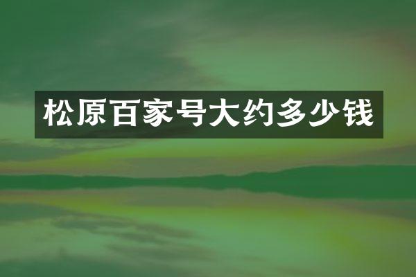 松原百家号大约多少钱