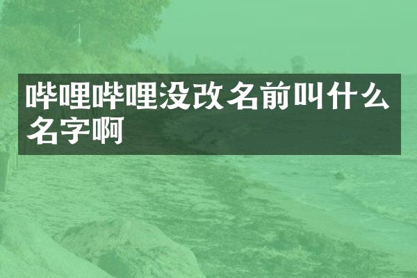 哔哩哔哩没改名前叫什么名字啊