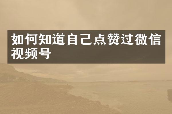 如何知道自己点赞过微信视频号