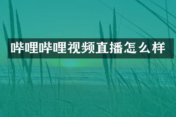 哔哩哔哩视频直播怎么样