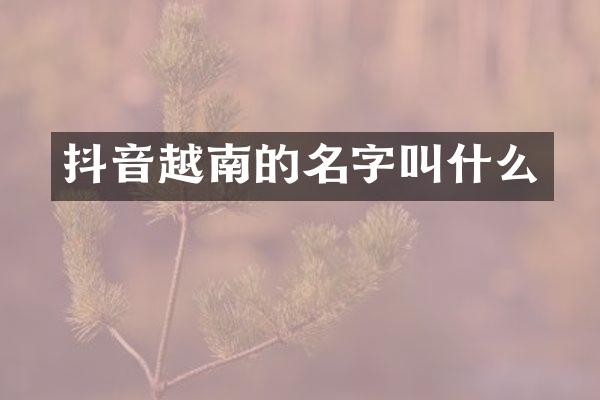 抖音越南的名字叫什么