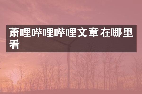 萧哩哔哩哔哩文章在哪里看