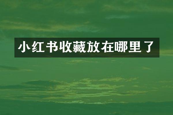 小红书收藏放在哪里了