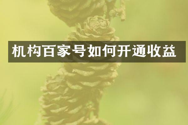 机构百家号如何开通收益