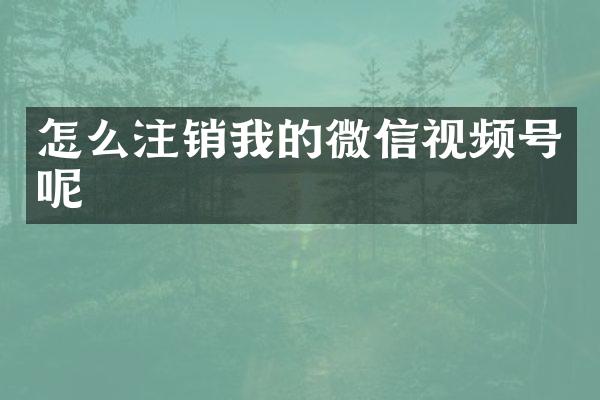 怎么注销我的微信视频号呢
