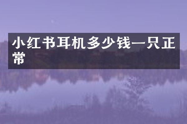 小红书耳机多少钱一只正常