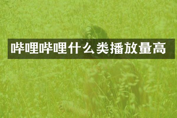 哔哩哔哩什么类播放量高