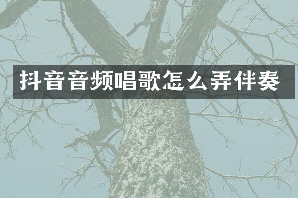 抖音音频唱歌怎么弄伴奏