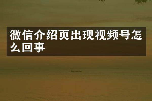 微信介绍页出现视频号怎么回事