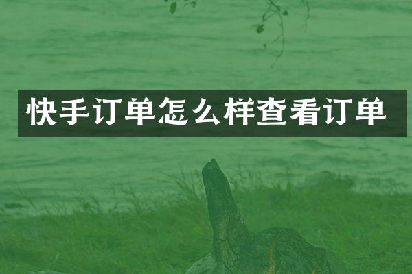 快手订单怎么样查看订单