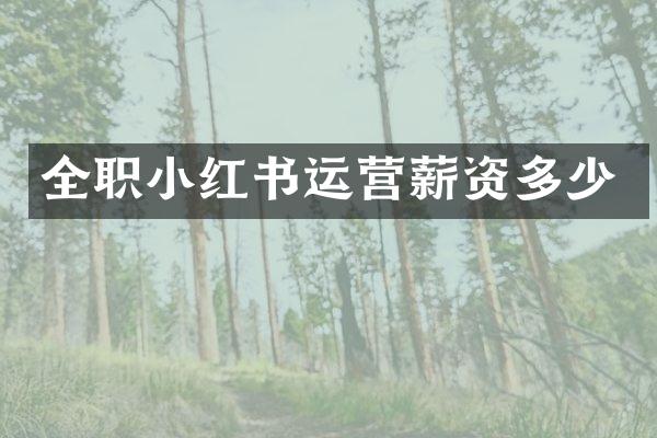 全职小红书运营薪资多少