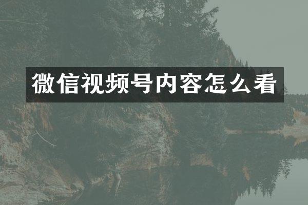 微信视频号内容怎么看