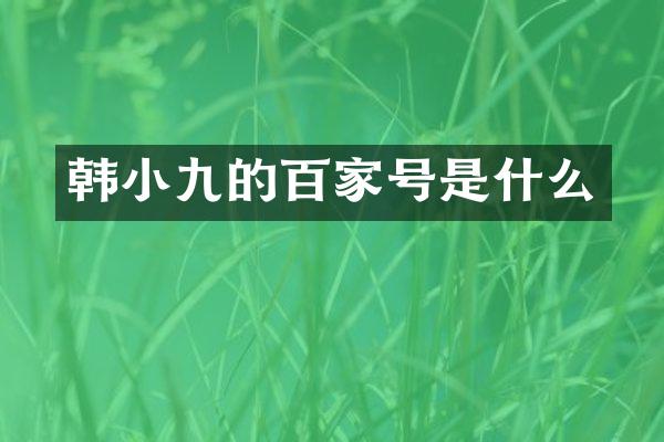 韩小九的百家号是什么