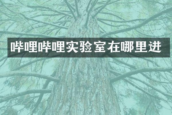 哔哩哔哩实验室在哪里进