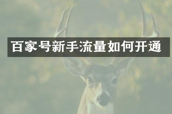 百家号新手流量如何开通