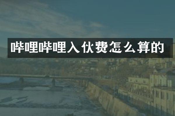 哔哩哔哩入伙费怎么算的