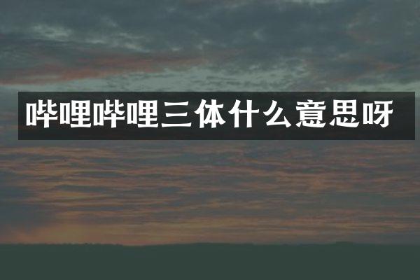 哔哩哔哩三体什么意思呀